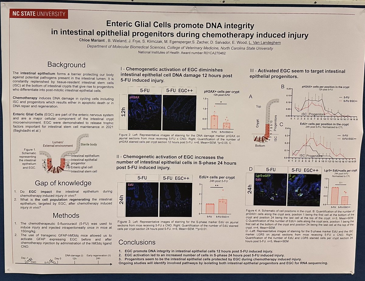 Joshua Stern tweet media