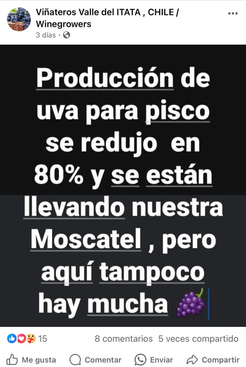 🚨 Preocupante, la situación de la supuesta compra de uva 🍇 del Valle del Itata para la zona pisquera. No solo nos afecta la sequía, sino también la falta de fiscalización de las autoridades. <a href="/eldia_cl/">Diario El Día</a> <a href="/sagchile/">SAG</a> <a href="/PiscoChile/">Pisco Chile</a> <a href="/Emol/">Emol.com</a> <a href="/latercera/">La Tercera</a> <a href="/Senado_Chile/">Senado Chile</a> <a href="/Camara_cl/">Diputadas y Diputados de Chile</a> <a href="/biobio/">BioBioChile</a>