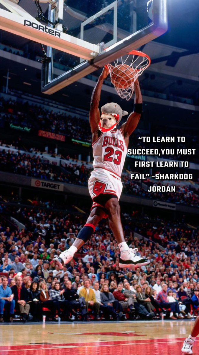 SharkDogCoin's tweet photo. #Sharkdog has a lesson for all of his dogs!!

AMA Friday, HOLD, SHILL, VIBE!

$SD $SC https://t.co/hFnCQ3tFAo