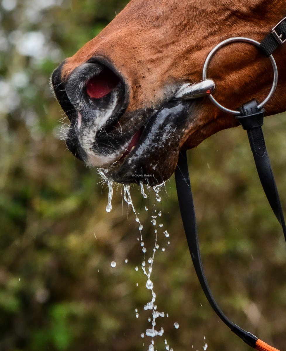 TEAHUPOO after winning the Stayers.