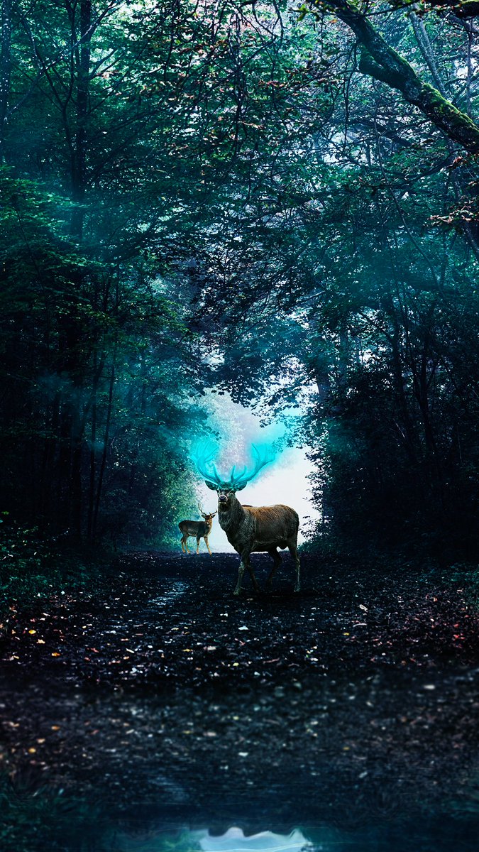 artgrab.co/art/onderarts
#art #NFTartist #designer