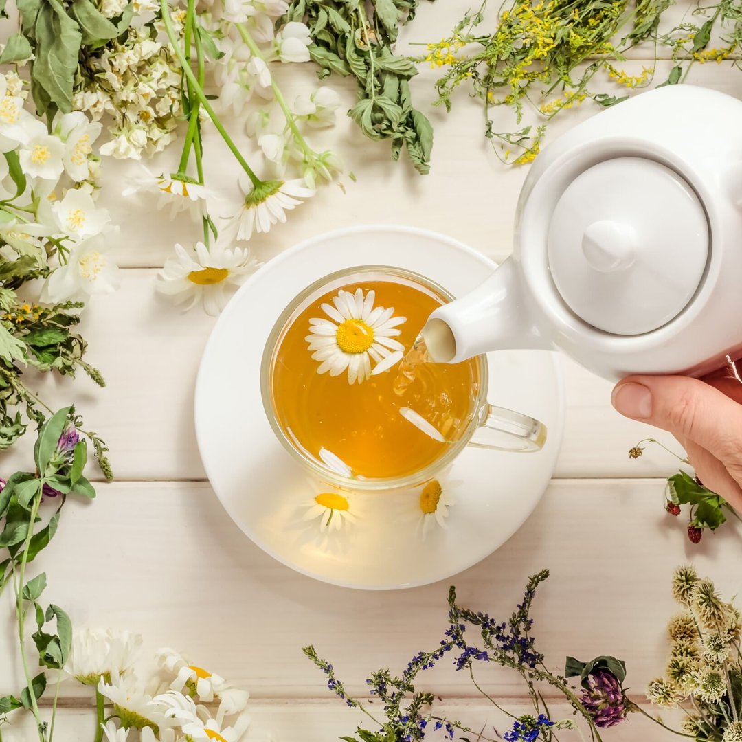 BluePacFlavors's tweet image. ☕️ From the ancient #tea fields of China to your corner cafe, this popular beverage has been poured around the world for millennia. Today, tea #beveragedevelopment is influenced by a diverse, global blend of time-honored traditions. 🌍

Learn more ➡️
bluepacificflavors.com/tea-beverage-d…