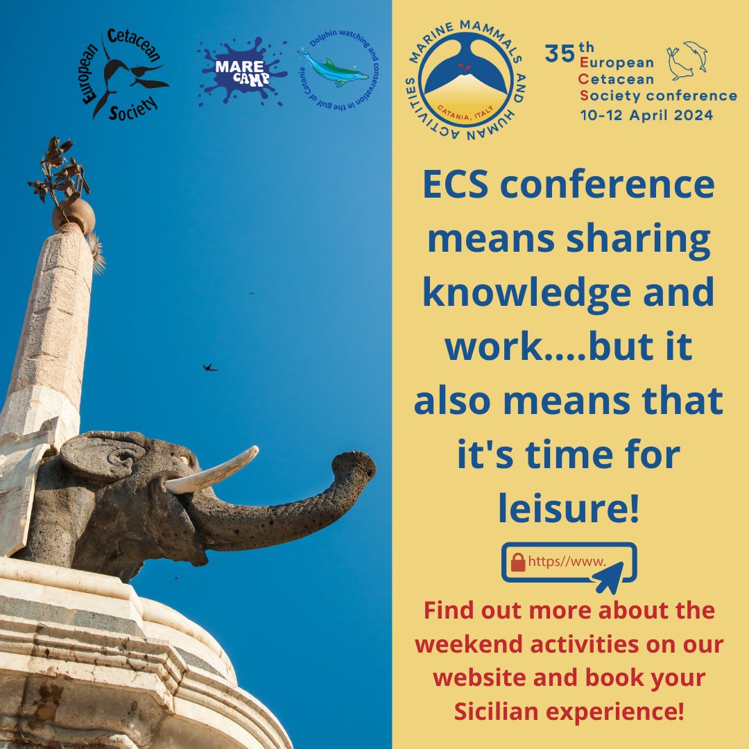 European Cetacean Society (@eurocetsoc) on Twitter photo Everything is ready for the #ECSconference2024! On 13 and 14 April the Local Organizing Committee suggests many activities to discover Catania's natural and cultural beauties. More information on the leisure proposals here: europeancetaceansociety.eu/leisure
<a href="/Marecamp_CT/">Marecamp association</a> Everything is ready for the #ECSconference2024! On 13 and 14 April the Local Organizing Committee suggests many activities to discover Catania's natural and cultural beauties. More information on the leisure proposals here: europeancetaceansociety.eu/leisure
<a href="/Marecamp_CT/">Marecamp association</a>