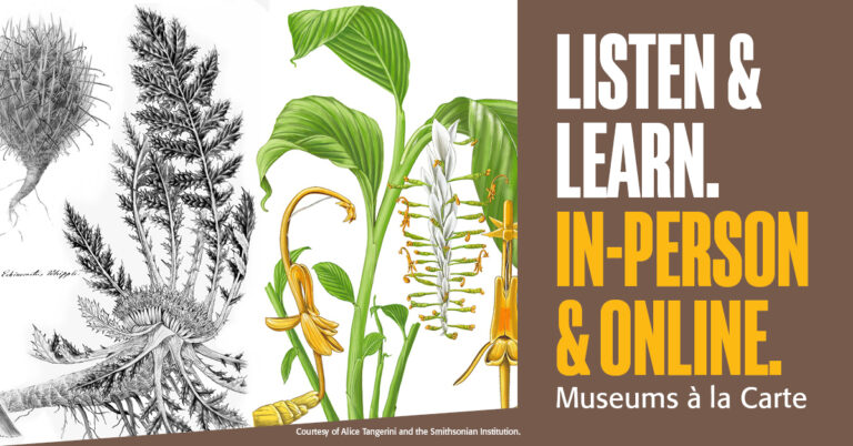Bring on the botanical with a special guest from @smithsonian #AtTheMuseums! Part of the annual Festival of Flowers and our weekly Museums a la Carte lecture series, @NMNH's staff illustrator Alice Tangerini talks botanical illustration from the past to the present tomorrow...