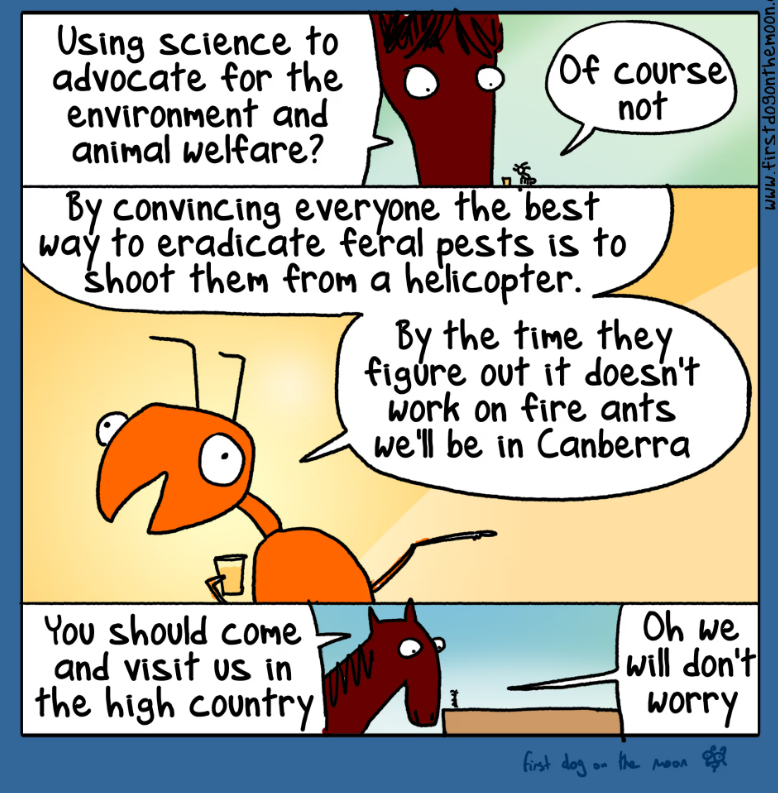 A fire ant and a feral horse walk into a bar... I'm loving this cartoon by @firstdogonmoon in the @guardian today which seems to be an uncannily accurate portrayal of my work life at the moment: theguardian.com/commentisfree/…