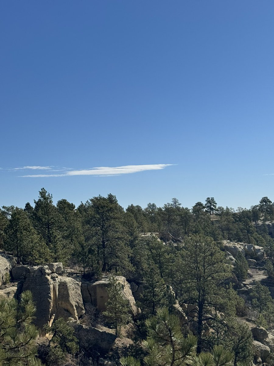 Gorgeous mid morning hike. The mountains are calling though!😂⛰️☀️✌️💙