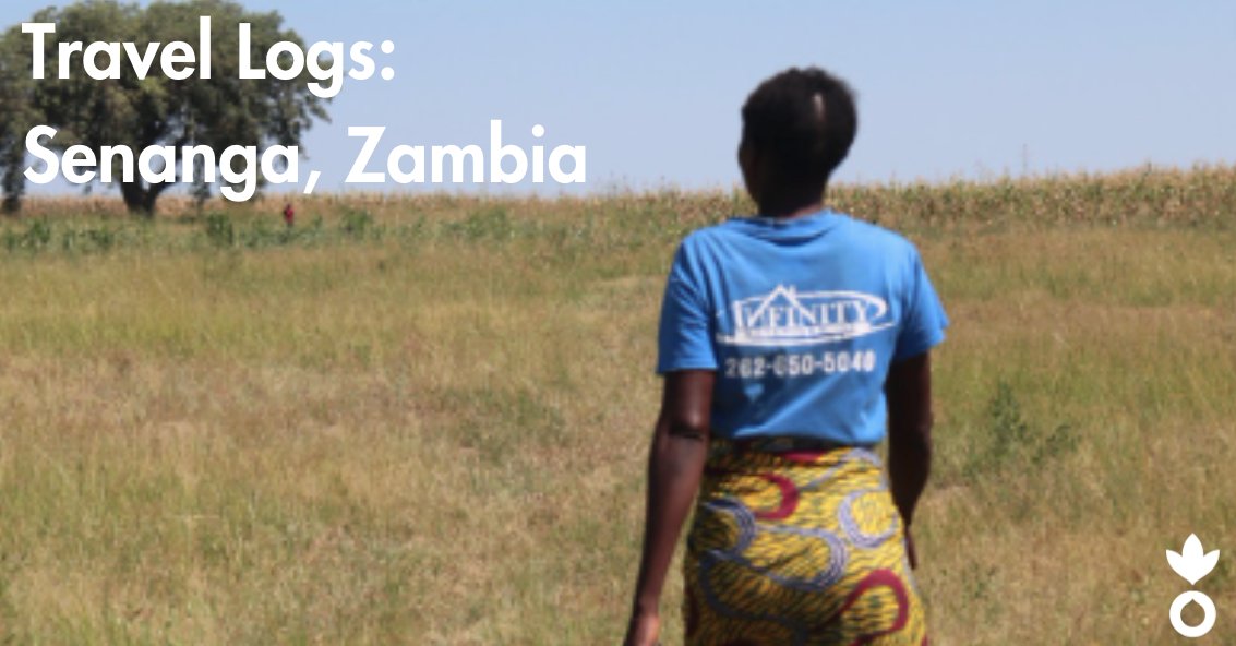 'Anxieties are widespread in #Zambia 's Western Province right now. Farmers of all ages, from teenagers to mid-70-year-olds, tell me that they’re facing unprecedented hunger.' Learn more about drought-resistant agriculture: bit.ly/3IZLggF @acfhearo