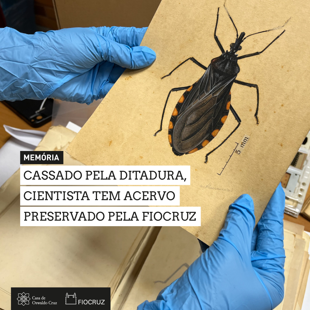 🚫 Apesar da destruição da ciência brasileira iniciada com o golpe militar, Herman Lent, um dos pesquisadores cassado e aposentado pela ditadura, conseguiu salvar seus materiais ao sair do IOC, em 1970. O acervo do cientista será preservado pela Fiocruz: tiny.cc/7w0nxz.