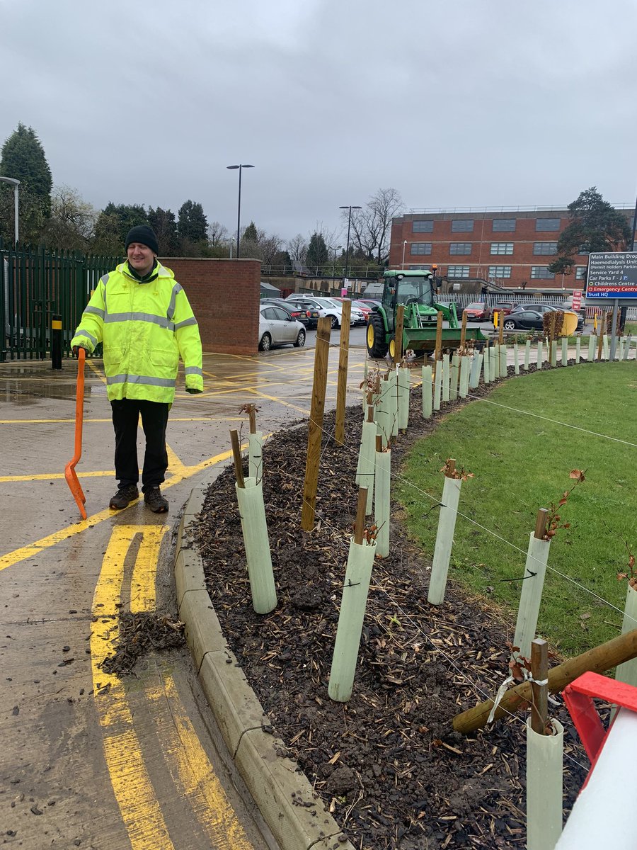 Thankyou UHNM estates - gardening team. Planting 🌱 🌳 @UHNMSWITCH good job 👍