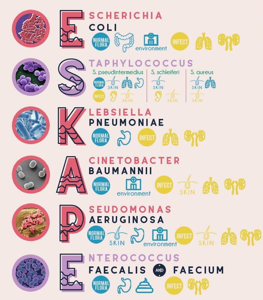 ESKAPE refers to the 6 bacteria that cause the most deaths from hospital acquired infections across the world. These are highly multi-drug resistant and are often a consequence of antibiotic overuse.