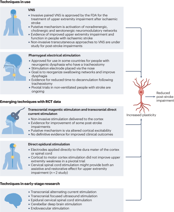 NatRevNeurol's tweet photo. New online! Neurostimulation for treatment of post-stroke impairments https://t.co/SKCLjMeBMK https://t.co/beGAAI5ECL