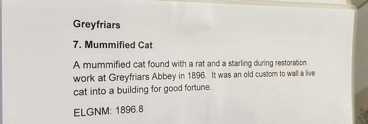 If you like buildings, superstitions, and cats, you will love this Greyfriars Abbey find in the fantastic Elgin Museum!