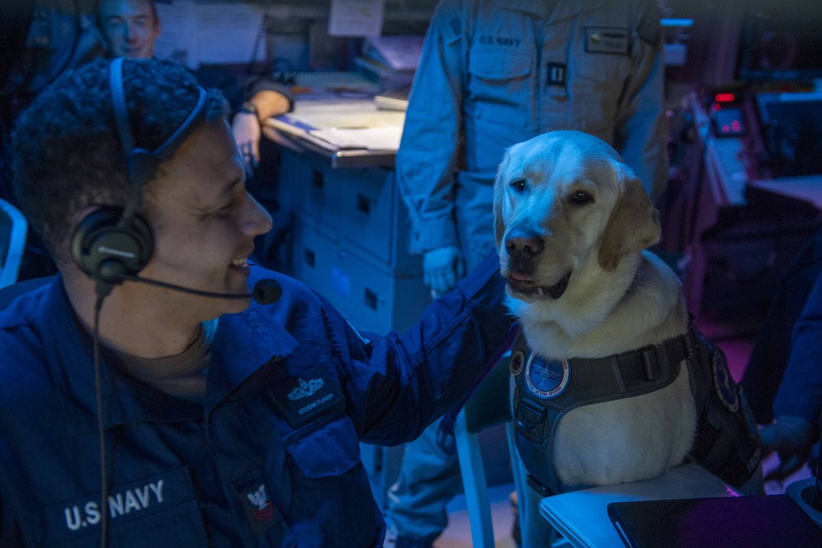 1️⃣ Sailors train during a GQ drill aboard USS Russell and 2️⃣ conduct maintenance aboard USS Theodore Roosevelt. 3️⃣ USS Mason conducts routine operations and 4️⃣ Capt. Demo, the facility dog aboard USS Dwight D. Eisenhower, sits with a sonar technician aboard the ship