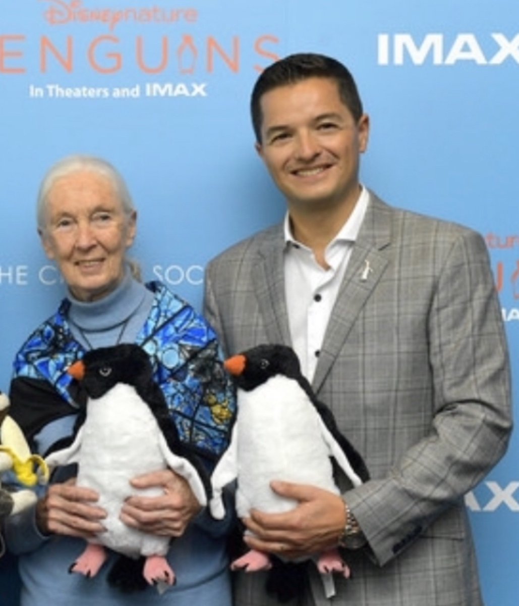 Popi Borboroglu (@popiborboroglu) on Twitter photo Happy 90th Birthday, Jane! <a href="/JaneGoodallInst/">Dr. Jane Goodall & the Jane Goodall Institute</a> We celebrate the incredible journey of your life. Your passion for wildlife conservation has touched countless souls. It's an absolute honor to share moments with you at every event we meet. Sending you the warmest penguin hug Happy 90th Birthday, Jane! <a href="/JaneGoodallInst/">Dr. Jane Goodall & the Jane Goodall Institute</a> We celebrate the incredible journey of your life. Your passion for wildlife conservation has touched countless souls. It's an absolute honor to share moments with you at every event we meet. Sending you the warmest penguin hug
