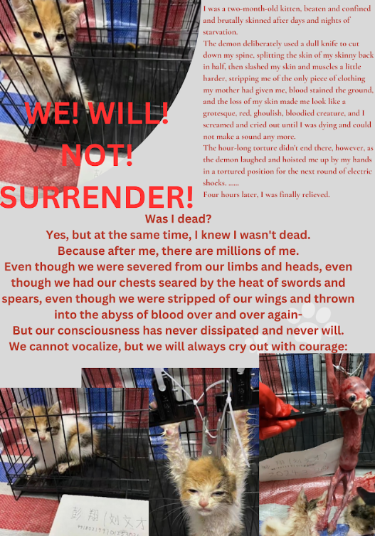 FGuardiansJapan's tweet photo. March 26, 2024. This poor calico kitten was alive after had been completely skinned, her skinned body was further t0rtured by electric shocks. Hold cat abusers accountable!
https://t.co/H8fI2DQnVs
#chinatravels #chinacats #HainanExpo2024
@EmbaixadaChina
@EmbChinaMex
@EmbZhangRun