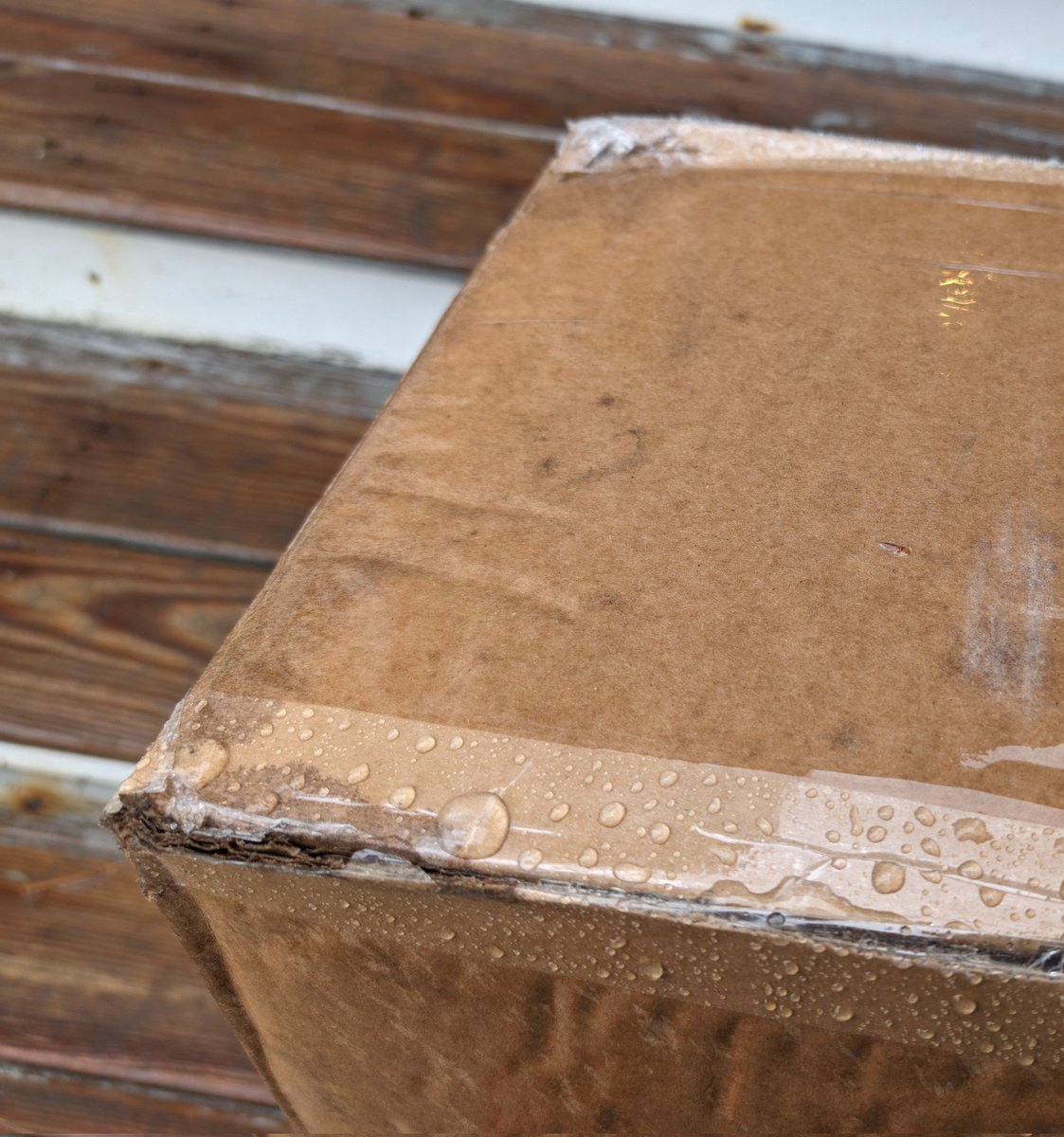 GundamCat13's tweet photo. Thanks @FedEx , for leaving the cardboard box you delivered on the stairs to get soaked for hours in today's nor'easter rain, instead of on the covered porch by the door like my delivery instructions ask @FedExHelp https://t.co/i4NtnEpQJu