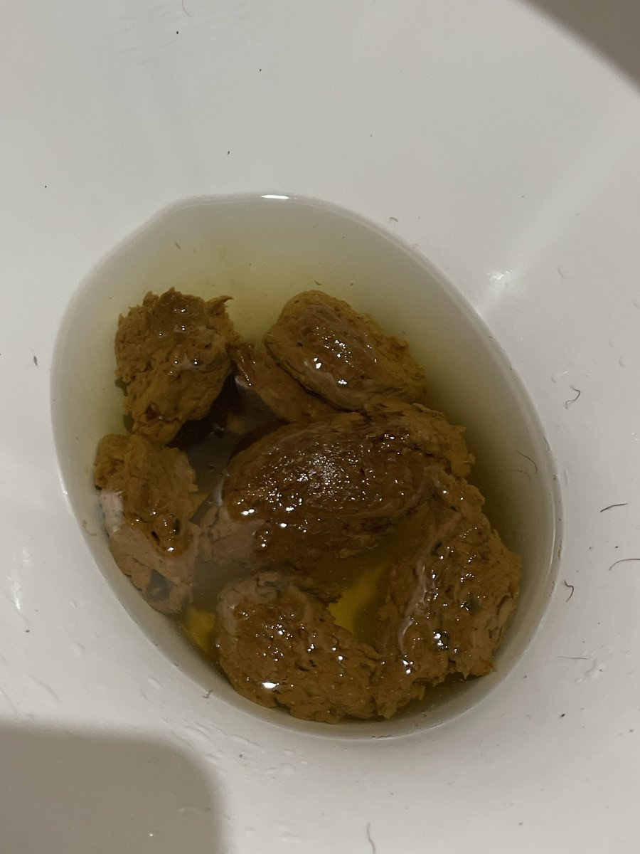 Scateirohard's tweet image. The dinner is served! 

O jantar está servido! 
.
.
.

#gayscat #scatgay #gayshit #shiteater #scat #scateiro #humantoilet #sexscat #gayfetish #pig #pigboy