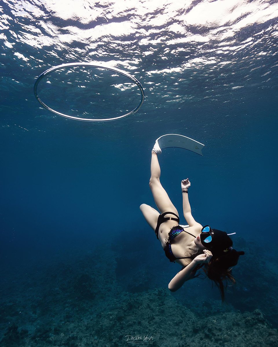 Ring for you.

.
.
.
.
.
#underwaterphotography #underwaterphotographer #uwphotography #uwphotographer #freediving #skindiving