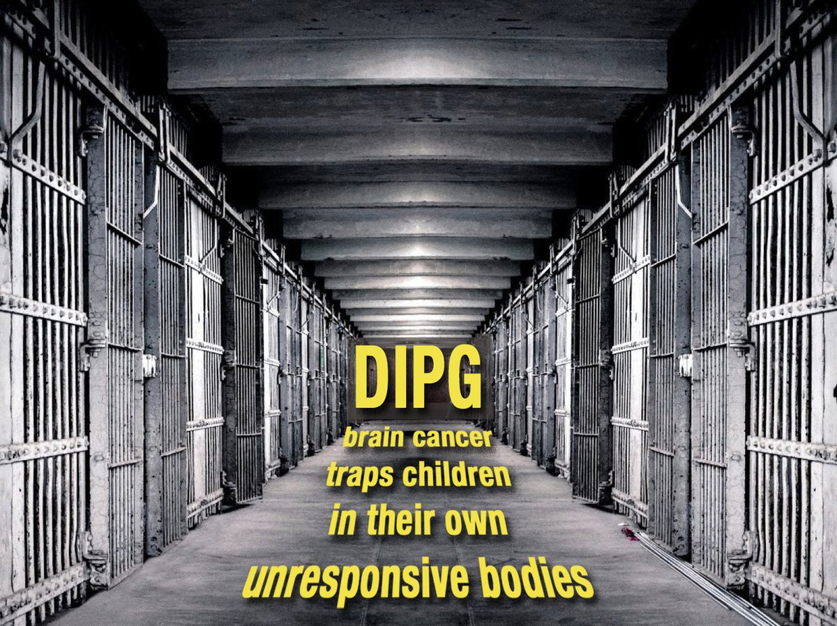 Imagine a 6 yr. old child who can see & hear, but they have DIPG. It's terminal, before they die, they have no control over arms, legs, swallowing, & more, but they know what's happening & can't communicate. #ChildhoodCancer, #BrainCancer @cac2org @HappyQuailPress @leezawilllshe