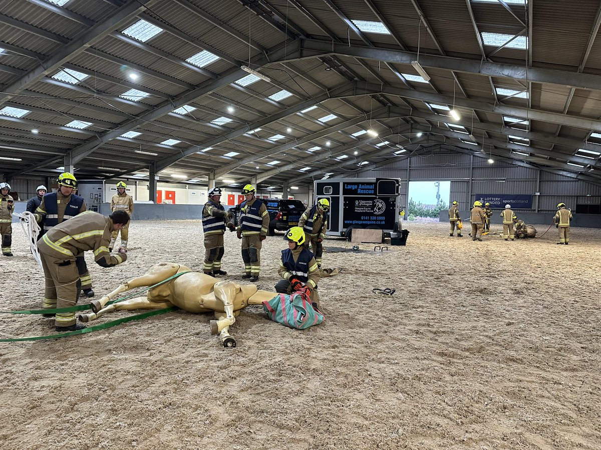 Glasgow Equine Hospital & Practice tweet media