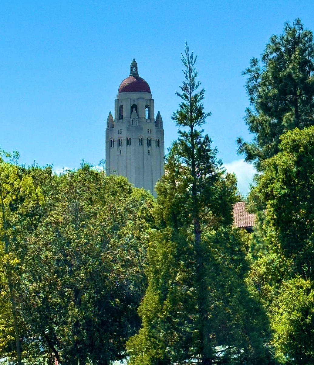 Current office view. Go Cardinal.