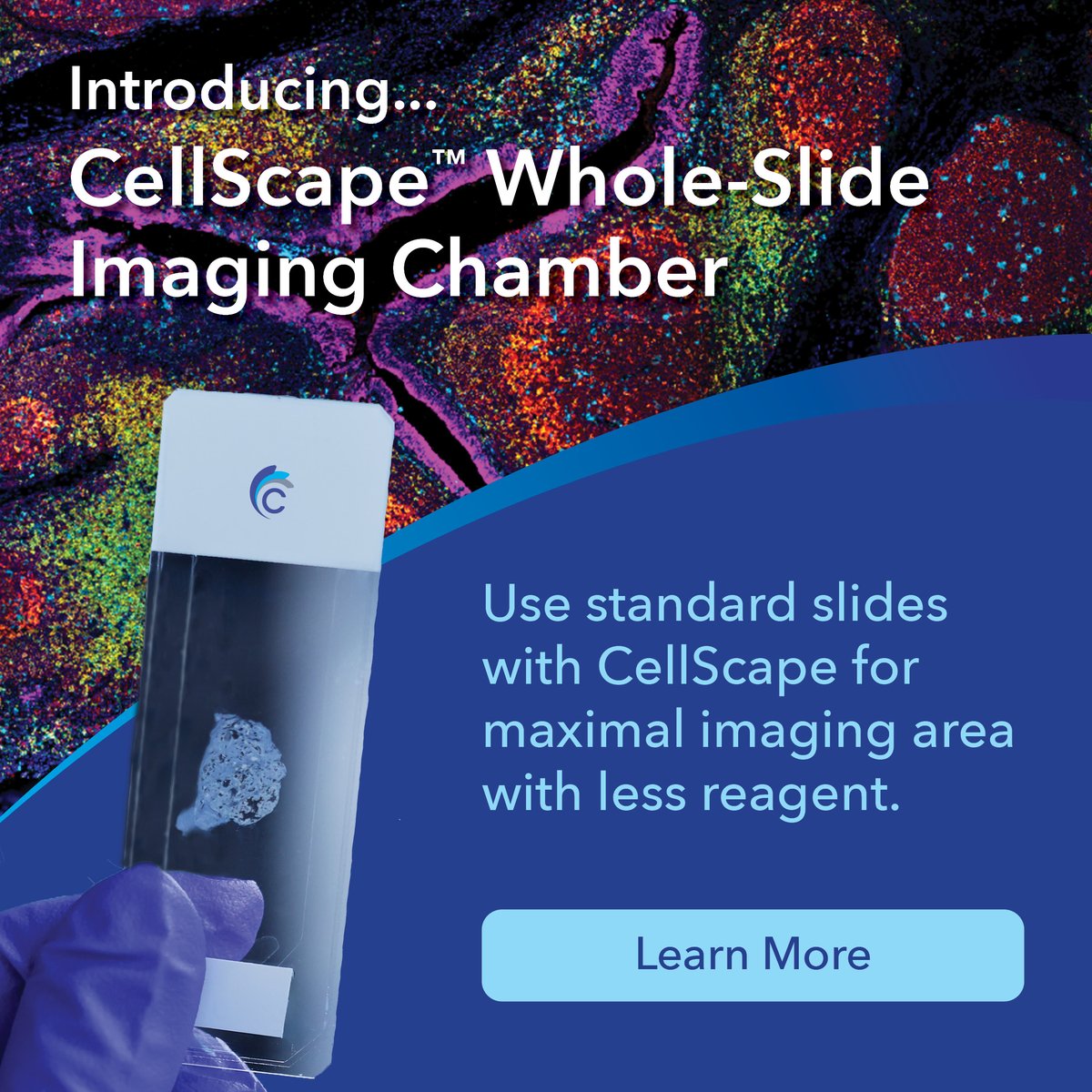 Spatial Biology Just Got Bigger! We are excited to announce the launch of CellScape Whole-Slide Imaging Chamber, introducing whole-slide spatial biology to the CellScape Precise Spatial Multiplexing platform.
 
Read our latest news: canopybiosciences.com/news/brukers-c…