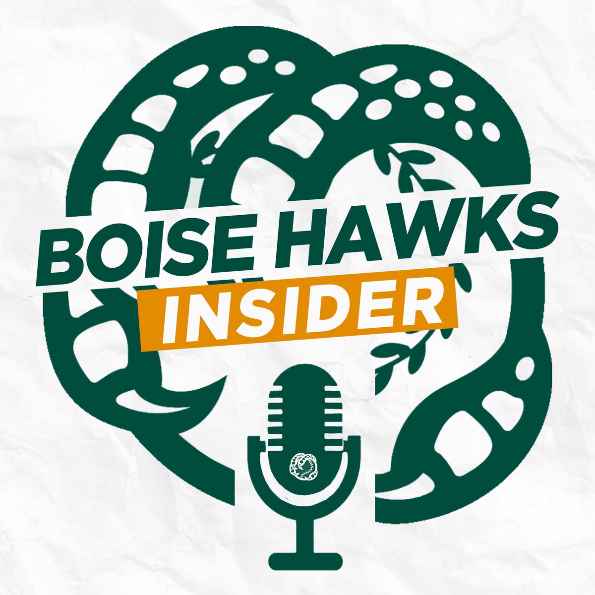 New Boise Hawks Insider Episode! UTL Oscar Serratos Jr. and INF Troy Viola are this week’s guests. They discuss their baseball journeys and get ready for the 2024 season! 🎧🔗: spoti.fi/4bvVBxW