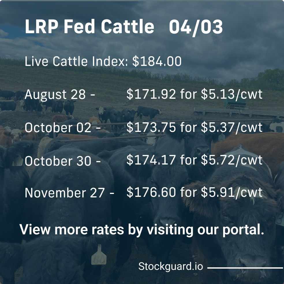 Stockguardinfo's tweet image. Wednesday, April 3rd LRP Rates: Stay current on today&apos;s live and feeder cattle rates–don&apos;t fall behind on the market! View live rates: hubs.ly/Q02rKy6k0

#LivestockRiskManagement #RiskManagementTools #LivestockSafety #FarmersProtection #LivestockInsurance