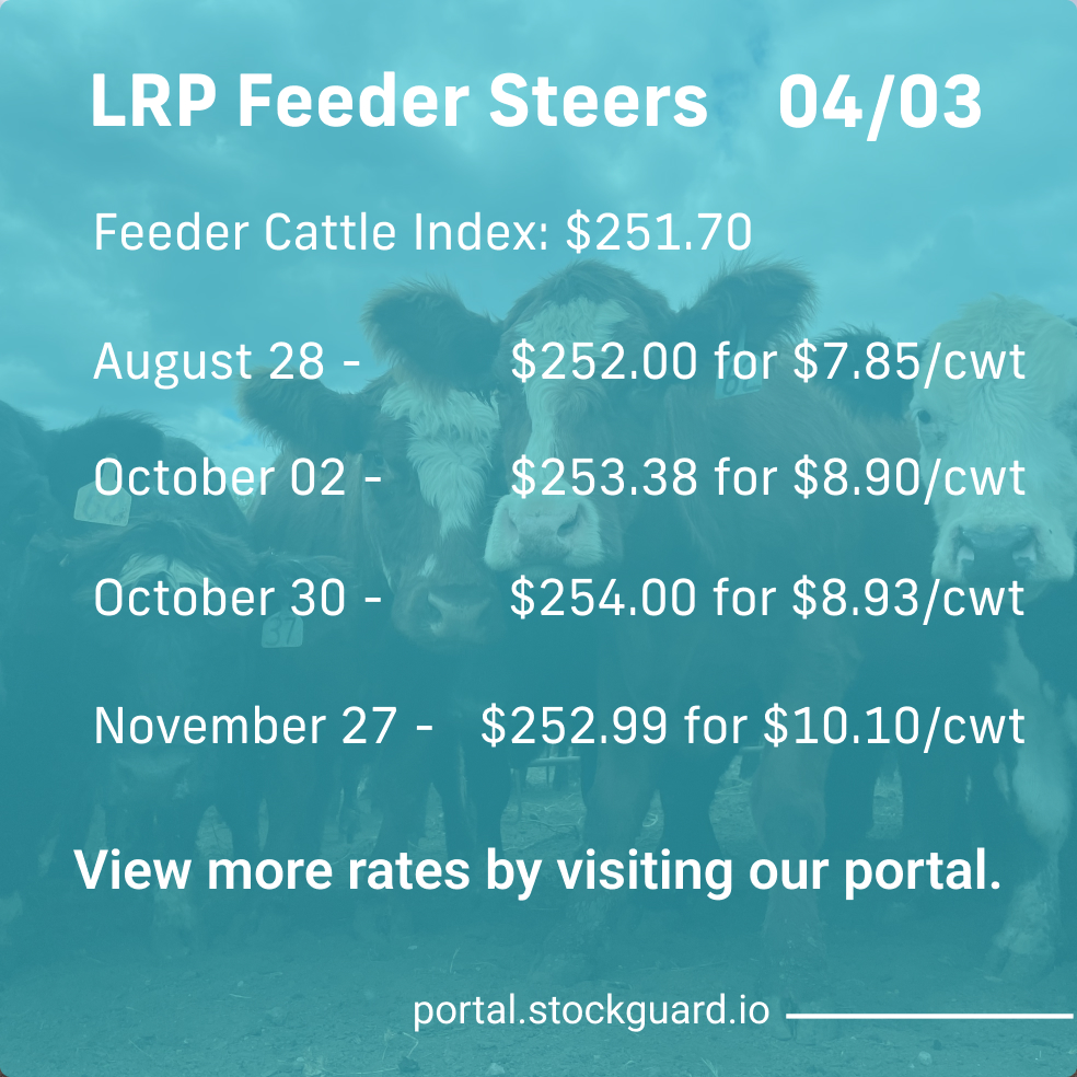 Stockguardinfo's tweet image. Wednesday, April 3rd LRP Rates: Stay current on today&apos;s live and feeder cattle rates–don&apos;t fall behind on the market! View live rates: hubs.ly/Q02rKy6k0

#LivestockRiskManagement #RiskManagementTools #LivestockSafety #FarmersProtection #LivestockInsurance