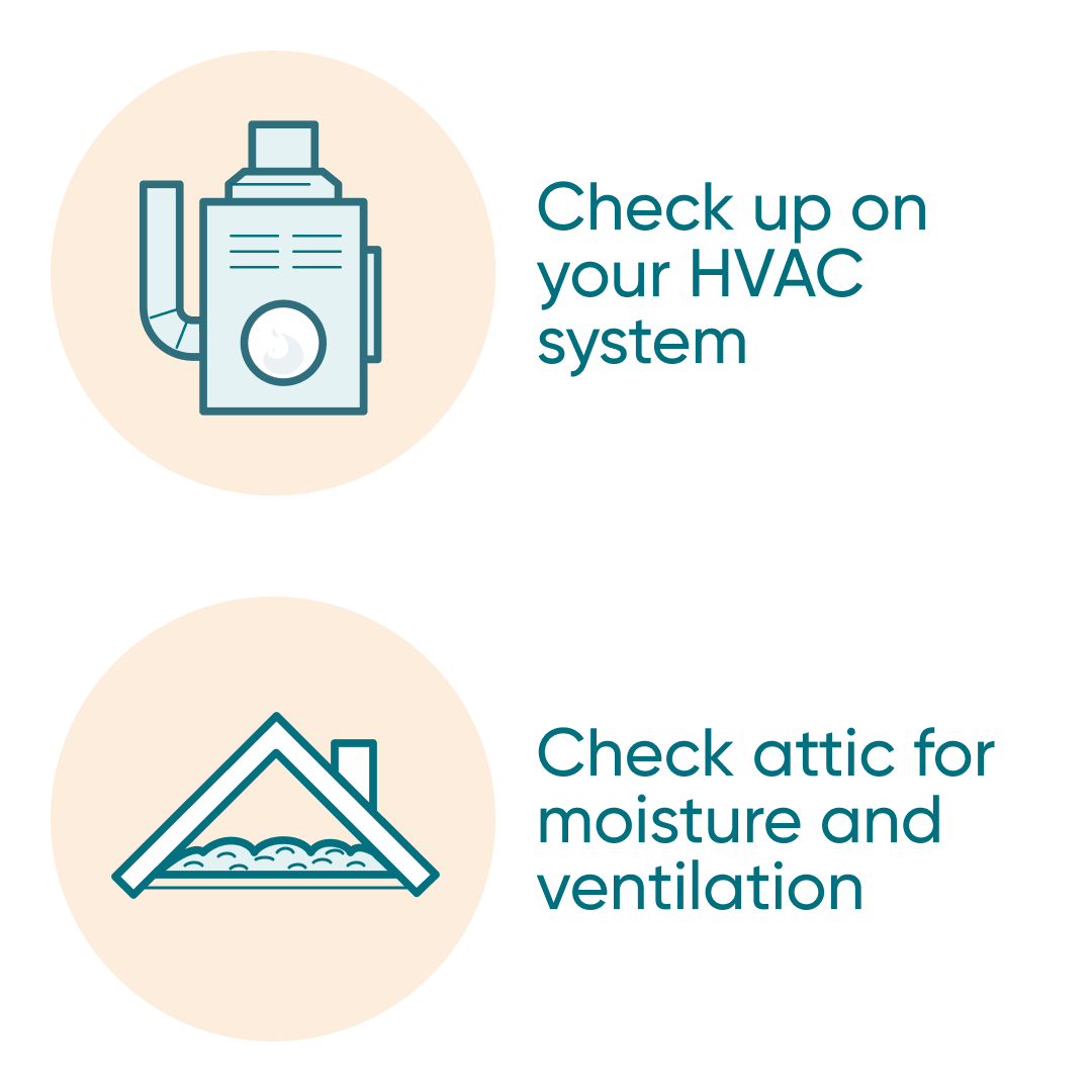 TrueNorthMtg's tweet image. By the light of a spring day ☀️ — here are some seasonal home maintenance tips and tasks 📋 to protect your investment (aka your home). Spring 🌱 into action now, to better enjoy the warmer temps on the way!

truenorthmortgage.ca/blog/your-spri…

#Springchecklist #springcleaning #mortgages