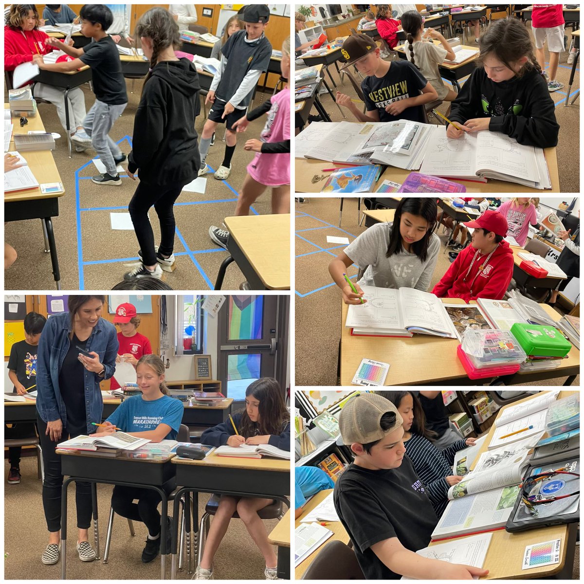 5th graders in social studies “exploring” a sunken ship for artifacts. Is what they found new technology, new products for the Americas, or their motive for exploration? Good luck, #SeagullExplorers! #SeagullSmarts #SeagullSocialStudies #SeagullsSoarTogether 💙 @SunsetHillsES