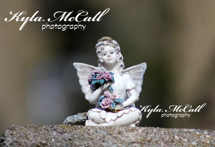 Photo prints available for purchase. Tokens of love left at the cemetery. Msg me for more details.
#kyla #photography #photographer #photographylovers #cemetery #photosforsale #PHOTOS