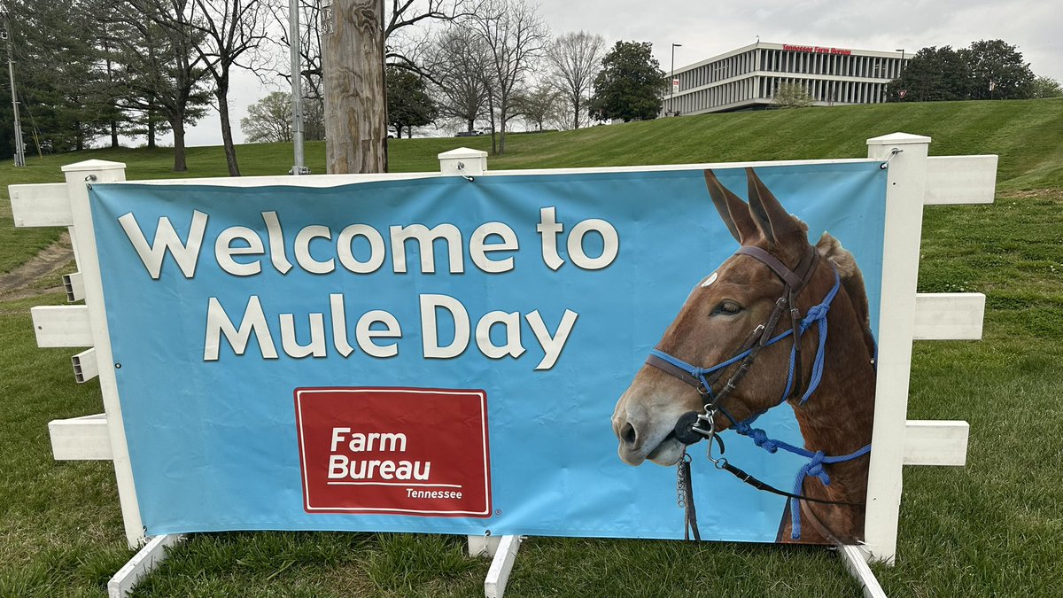 The @TNFarmBureau family welcomes all to Mule Day activities in Columbia, TN, the Mule Capital of the World!!! muleday.com #MuleDay #ColumbiaTN