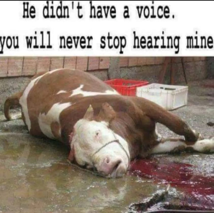 I hope I live long enough to see this damned industry fall to its knees, sink in the sewer they created of themselves. And I will never stop speaking for the animals and when I cannot do so any longer, I will write it on the walls. They matter. Are you with me?