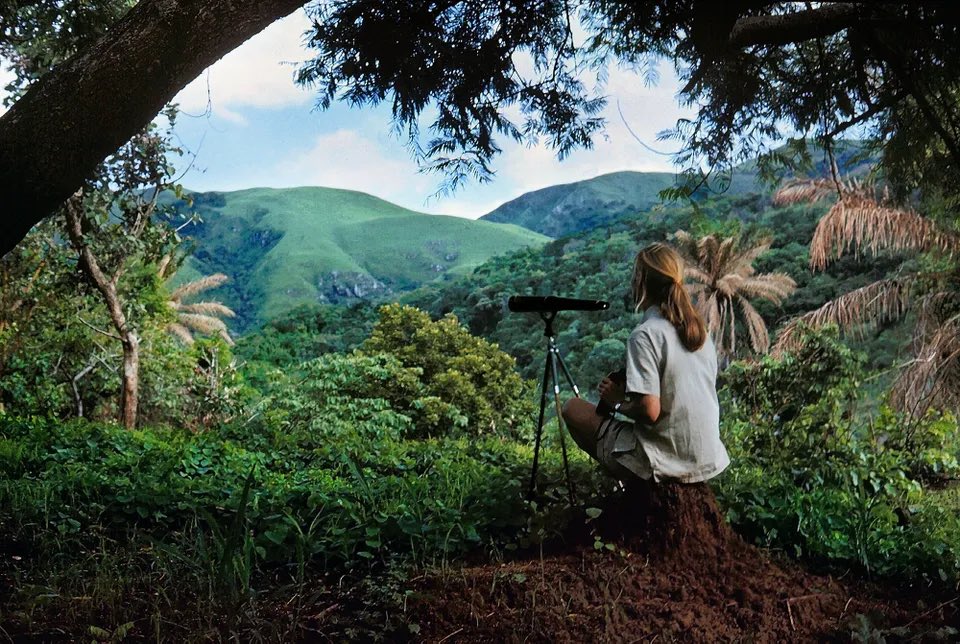 #JaneGoodall, born #OTD 90 years ago - Self-Portrait, Gombe, Tanzania, 1962 #JaneGoodall90

“My mission is to create a world where we can live in harmony with #nature.”