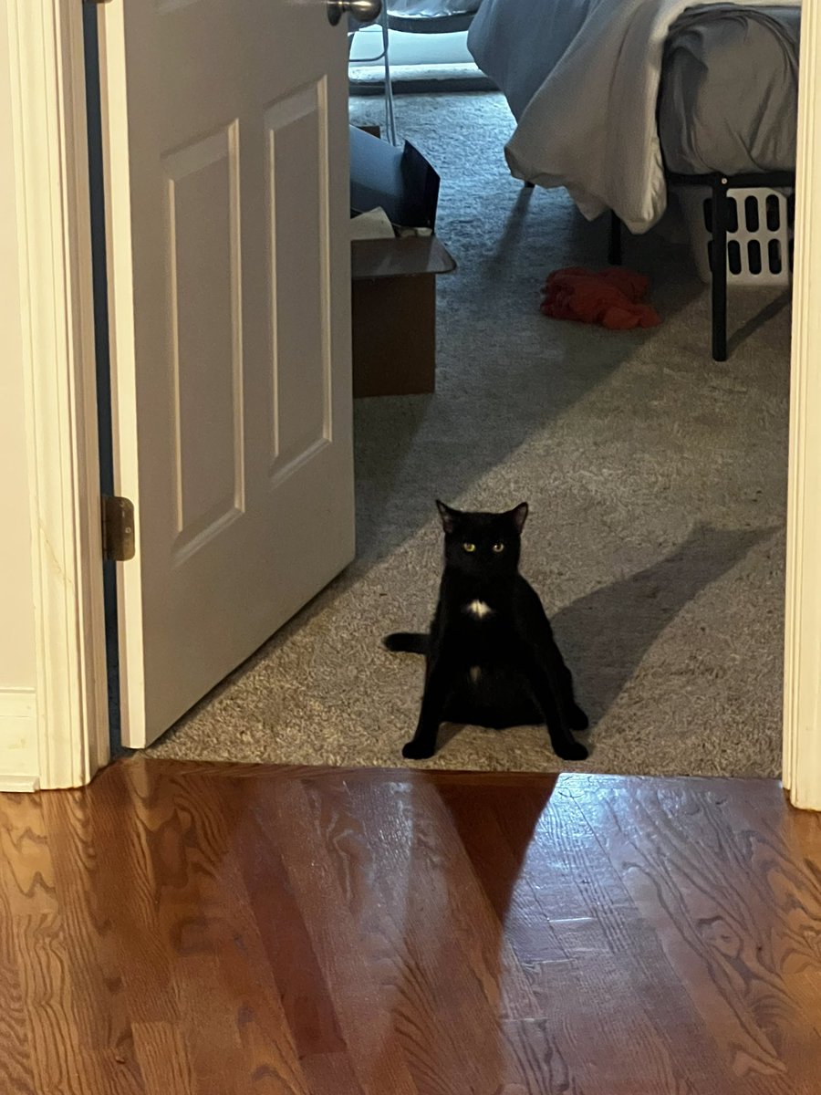 you do not want what awaits beyond this door, mortal