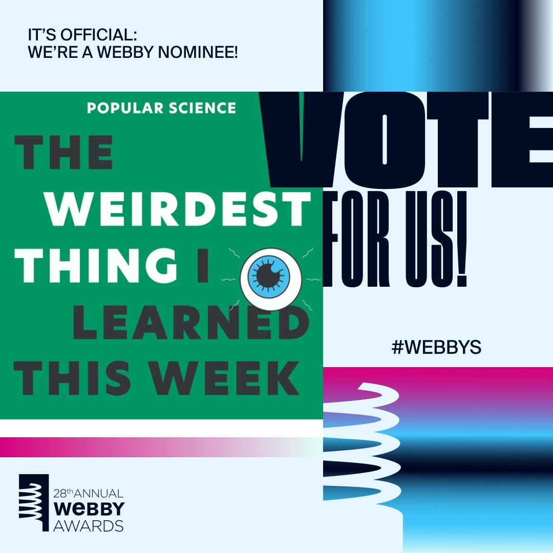 Our podcast partner @Weirdest_Thing has been nominated for @TheWebbyAwards 🎉 🔗bit.ly/voteweirdestth… Give them a VOTE 🗳️ before April 18th #Webbys
