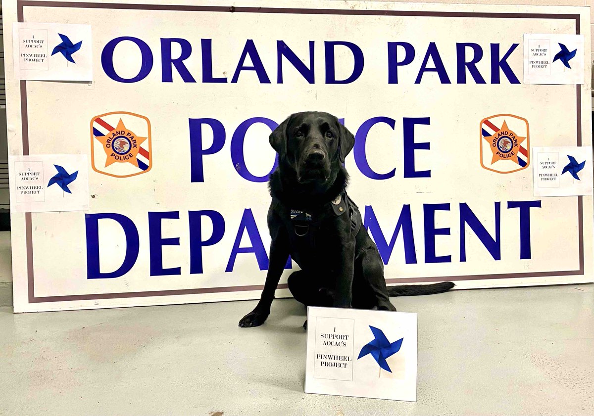 OrlandParkpd's tweet photo. Today, K9 Leo, as a part of Child abuse awareness month, is showing his support for the Children’s Advocacy Center’s Pinwheel Project! Way to go Leo! #k9 #PinwheelProject https://t.co/TQS7VHhug2