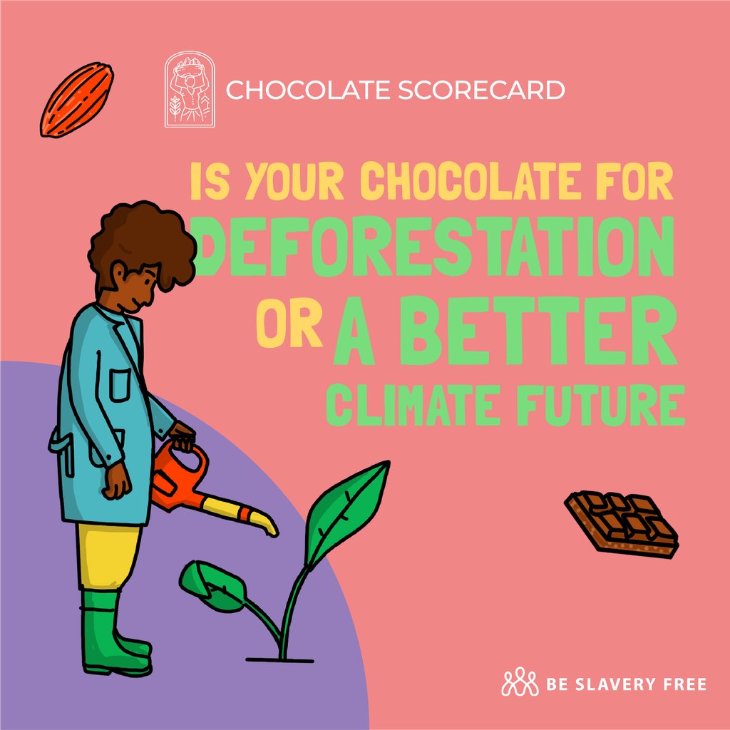 Initiatives exist to stop cocoa deforestation, however the chocolate industry needs to set higher standards to fully stop it. Find out how your favourites scored on minimising deforestation on the new #ChocolateScorecard  chocolatescorecard.com #EthicalChocolate #EthicalCocoa