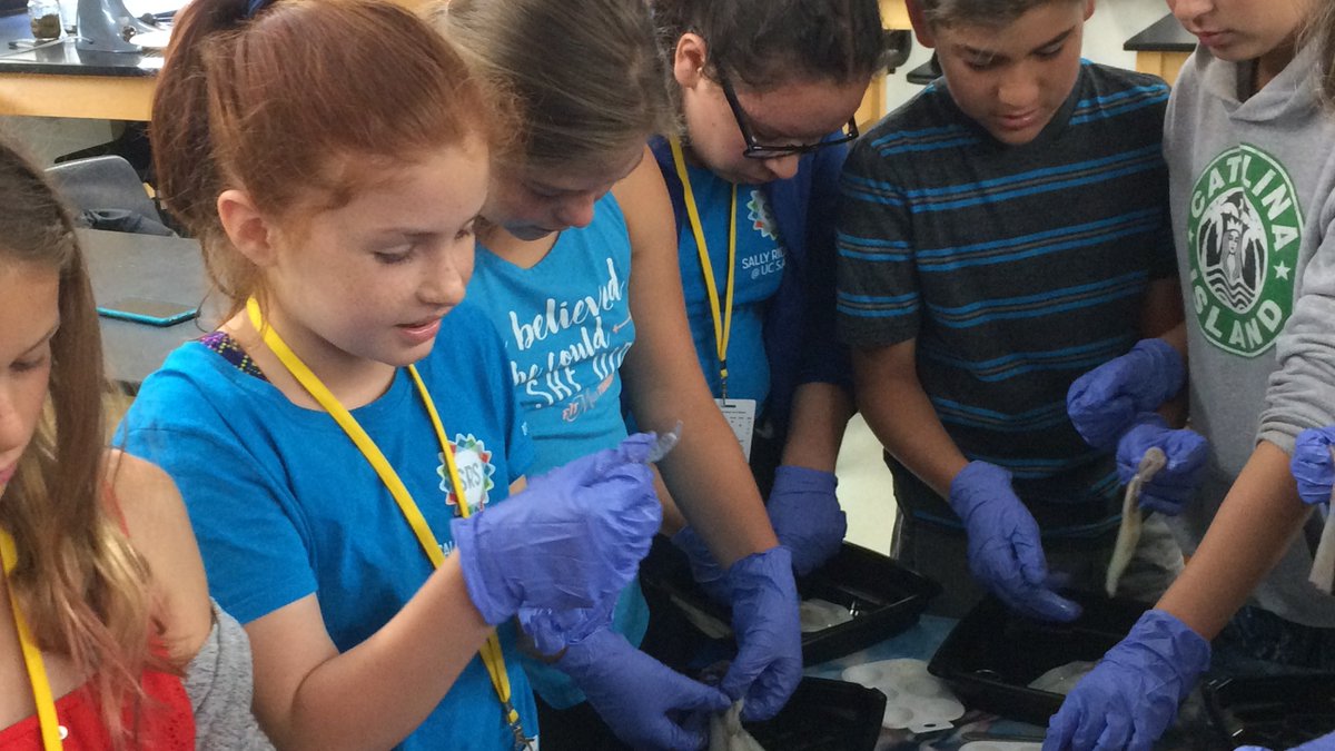 Registration is open for the spring quarter of #free Sally Ride Science workshops in @SDPublicLibrary branches. Offerings include 'Squid Dissection' for grades 3-5, coming to Linda Vista Library April 13 through #LibraryNExT @UCSDExtStudies: sandiego.gov/librarynext