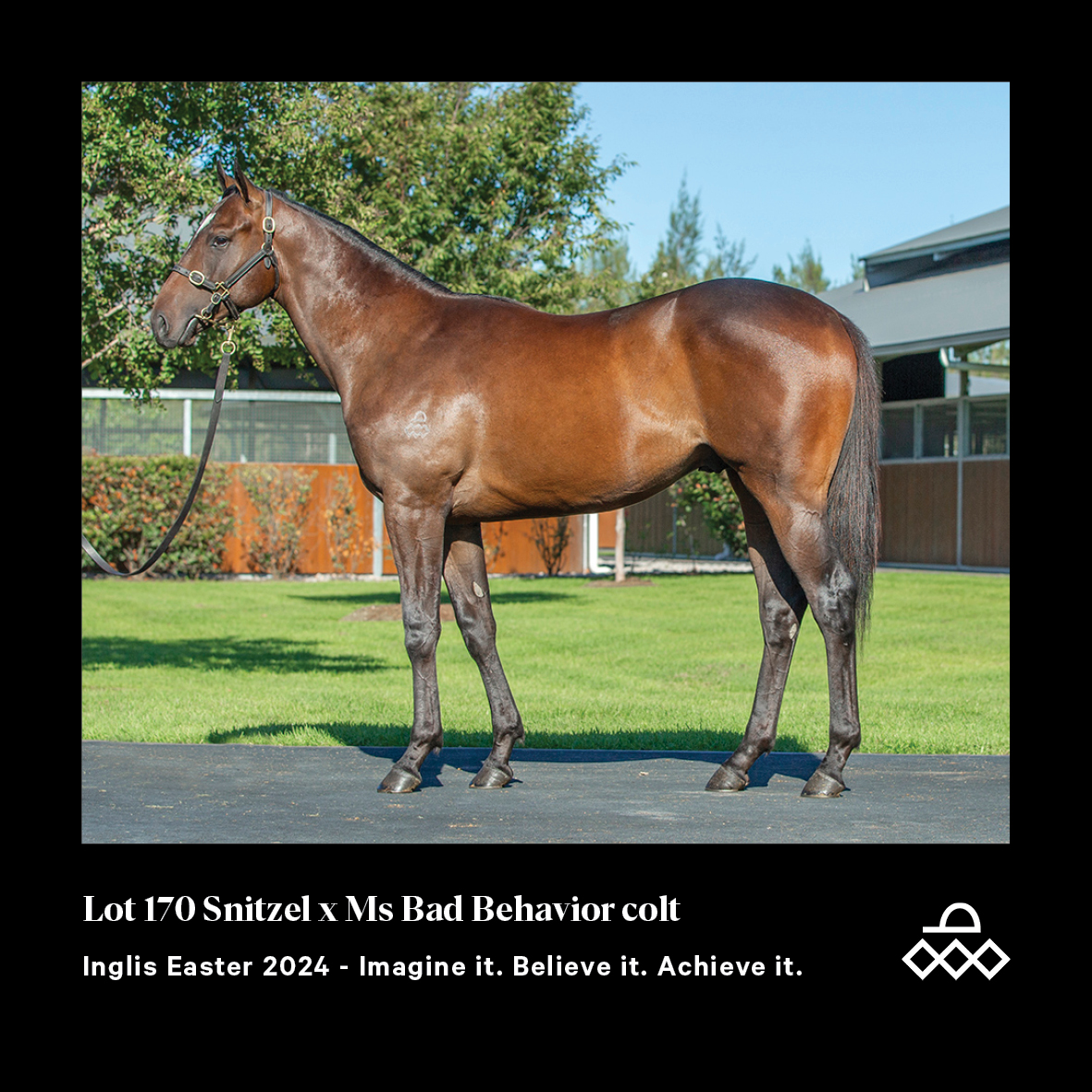 ArrowfieldStud's tweet photo. This cross is highlighted by G1 Golden Slipper & Arrowfield Graduate Estijaab!
#achieveit #arrowfield #inglisstats https://t.co/bmw03UdmOK