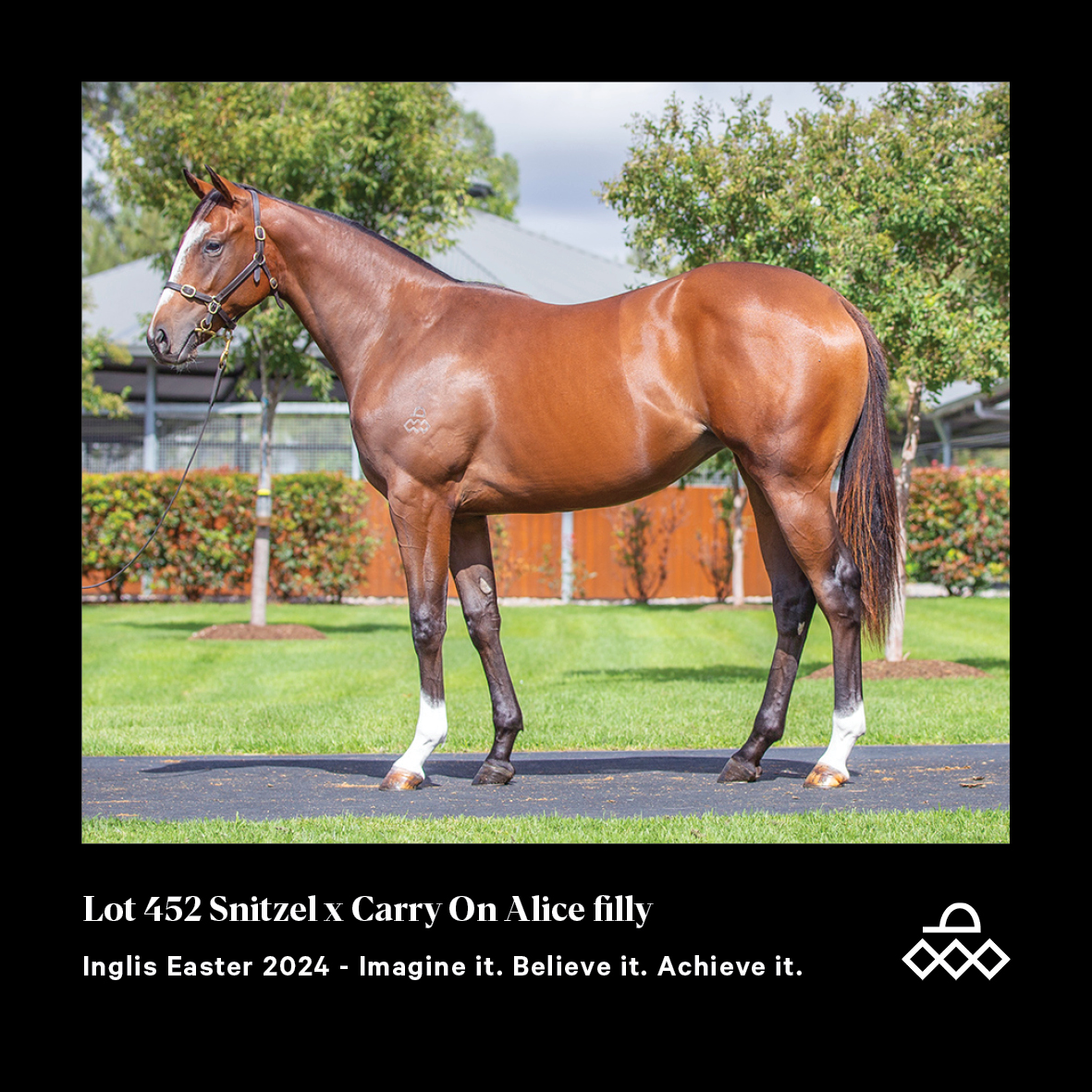 ArrowfieldStud's tweet photo. This cross is highlighted by G1 Golden Slipper & Arrowfield Graduate Estijaab!
#achieveit #arrowfield #inglisstats https://t.co/bmw03UdmOK
