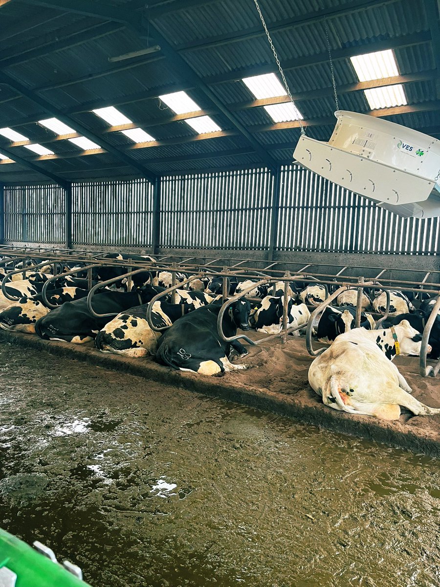 ECV- 
Effective Cooling Velocity from <a href="/VES_Artex/">VES-Artex</a> designed with deep housing for optimal air velocity directed at cow level. Developed in  by the team out of WI, USA with <a href="/DVMWolf/">Michael J. Wolf DVM</a> 

Often copied but not matched in terms of design and quality of materials 💨 🐄