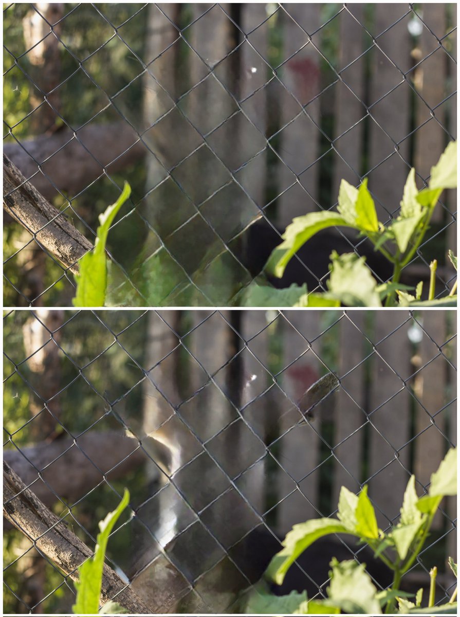 theordysm's tweet image. Let&apos;s quickly take a look at the #ObjectEraser on #OneUI6 and One UI 6.1

- the algorithms to fill the erasing parts seem to be improved on One UI 6.1 (see 1st vid)

- the object recognition/detection seems to be worse on One UI 6.1 (see 2nd vid; 4x speed on One UI 6.1)