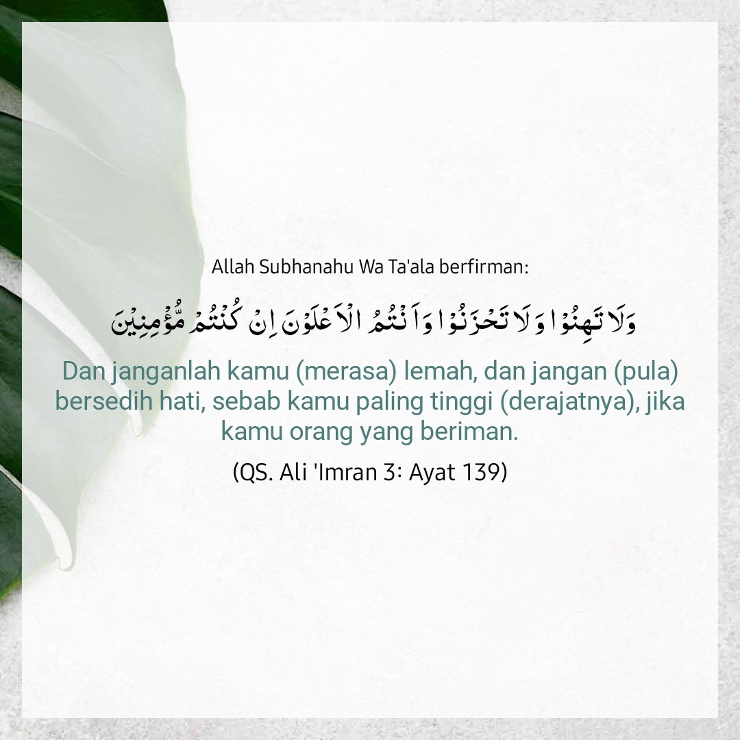 Khai 🌱 tweet media
