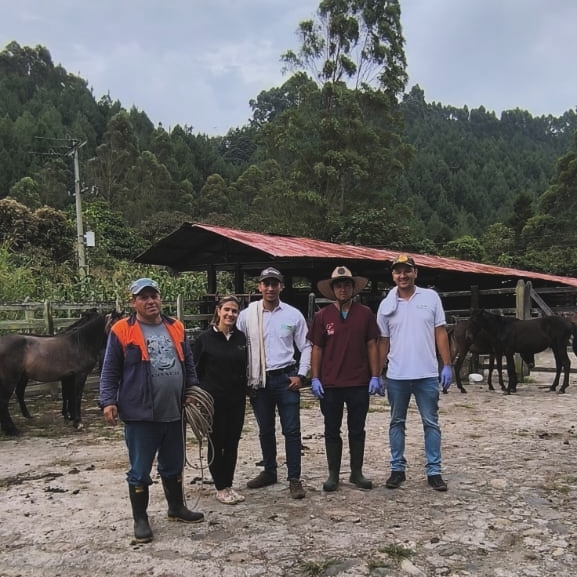 💉Jornada de vacunación Contra Encefalitis Equina 🐎Venezolana en el Municipio de Villamaría,Caldas.
Con el acompañamiento de funcionarios del Comité Departamental de Ganaderos de Caldas, el ICA y FEDEGAN💚💚

@Cogancaldas 
@Fedegan 
@ICACOLOMBIA 
@Danielrz_27 
@EjeCafeteroYLaD