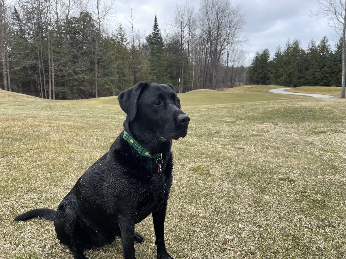 @AnthonyHastePGA @DogsOfTurf @horsleylodge Chance and I wishing you the best on your upcoming adventures.