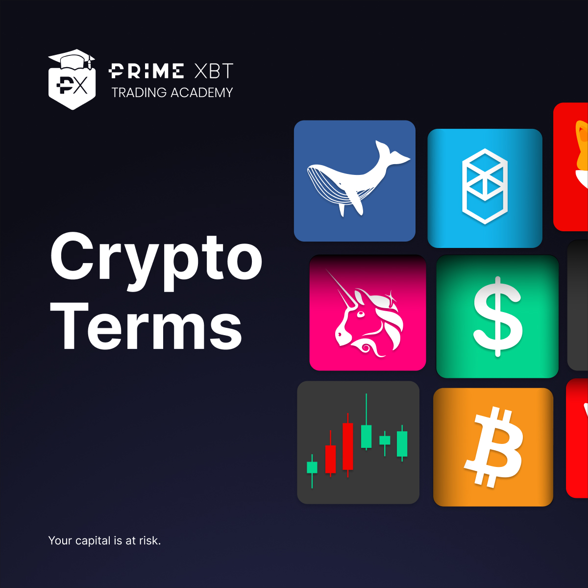 What Make PrimeXBT Trading Platform Don't Want You To Know
