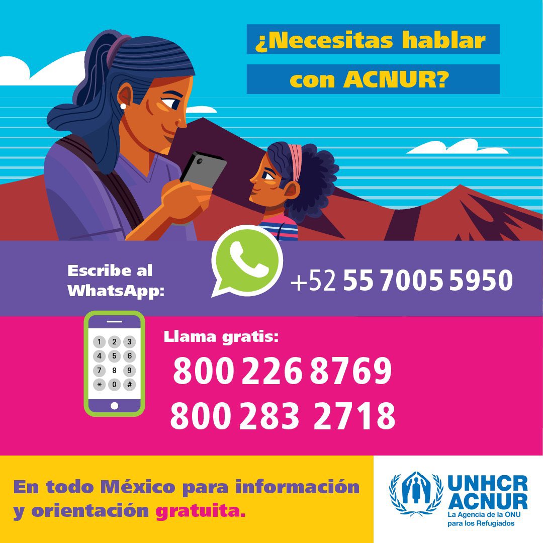 📌👉La COMAR y ACNUR trabajan en conjunto para ayudar a las personas en necesidad de protección internacional. Si lo necesitas, puedes contactar a ACNUR a través de los siguientes teléfonos.