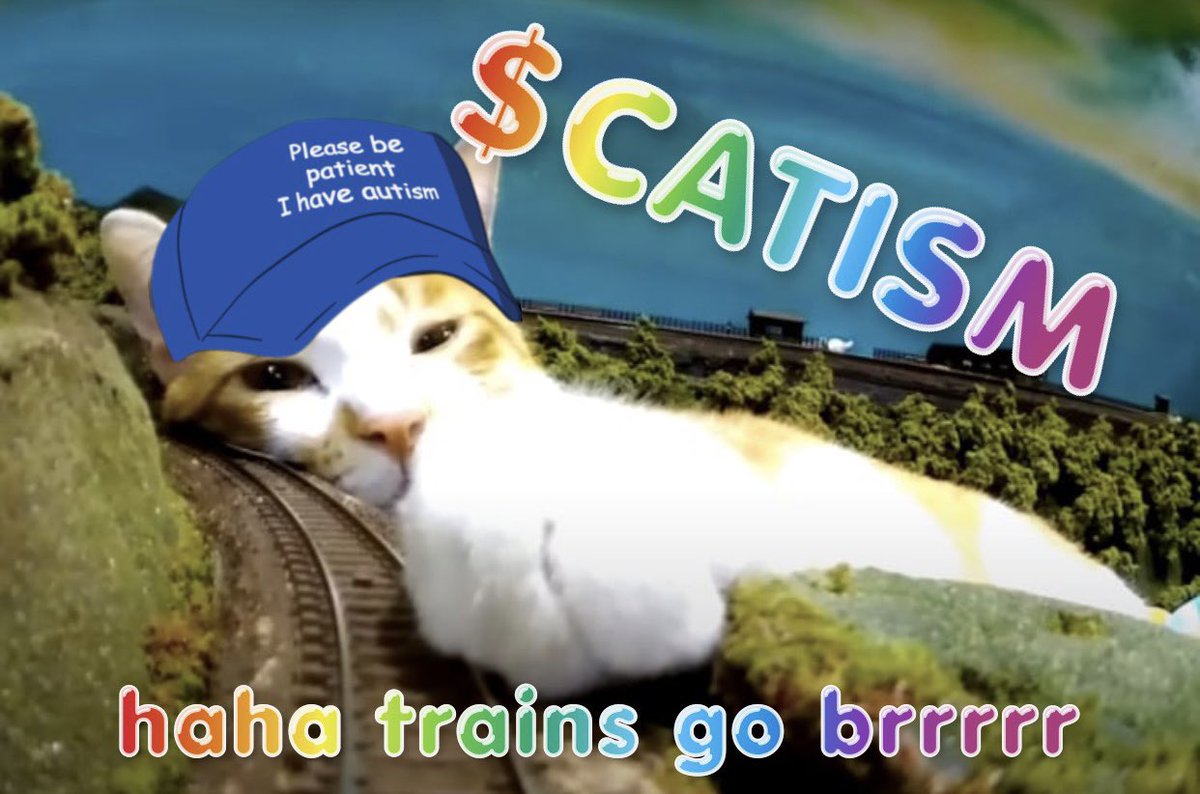 AutismCatSolana's tweet photo. @blknoiz06 I’m literally an autistic cat that leiks trains lmeow

TG: https://t.co/QbhHSbfRw2
CA: BrMfArTrrdG6GR11EVwToD89xGPnCLh6NA3Qdhp9hG5D https://t.co/NACWEtRcHB